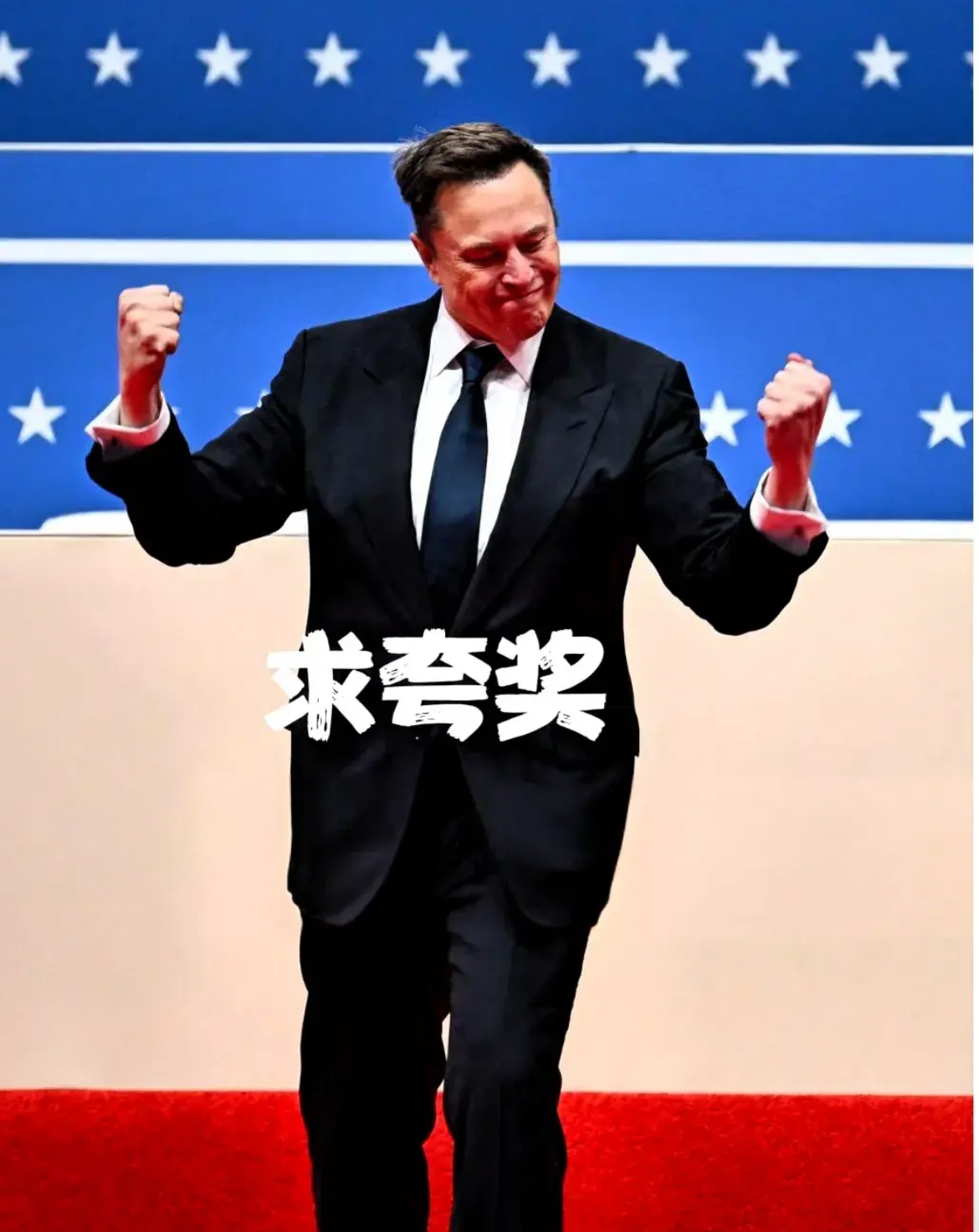 马斯克再次发推，SHIB瞬间上上扬TON%