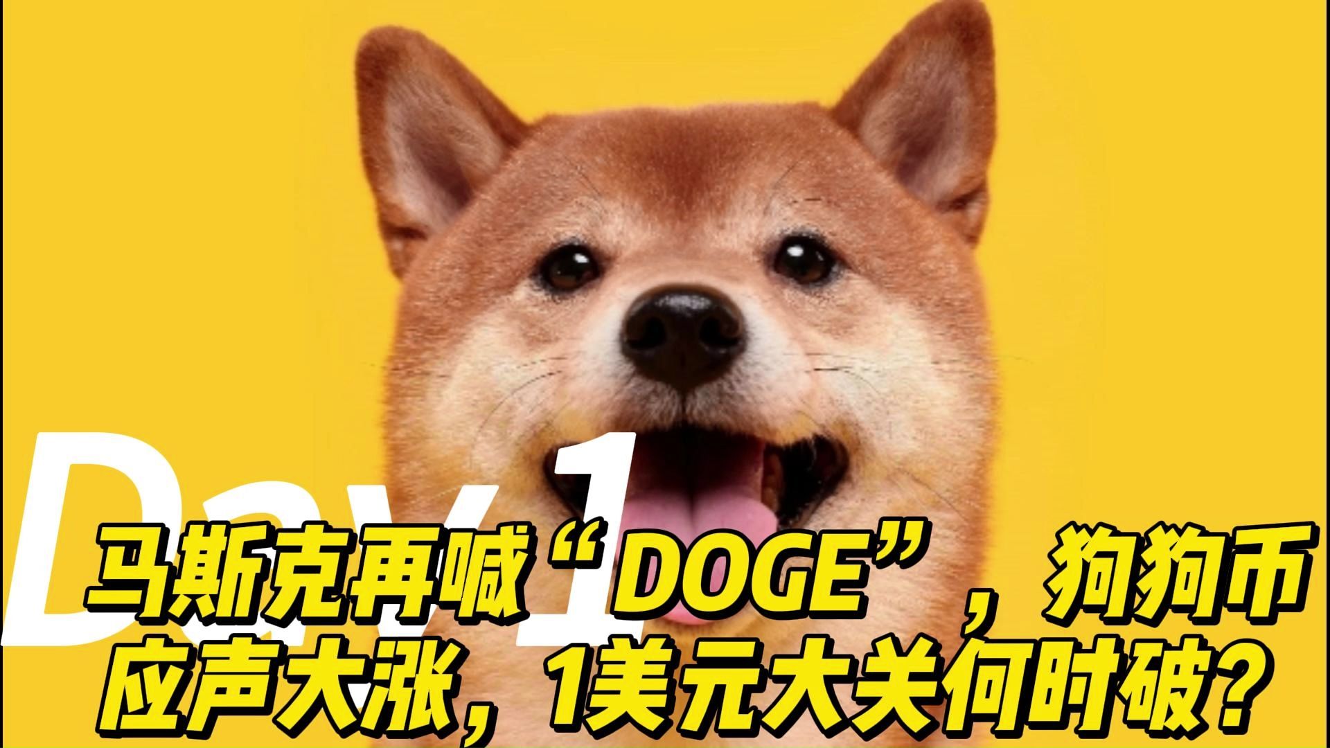 狗狗币空投即将开始，参与用户将获MATIC枚代币